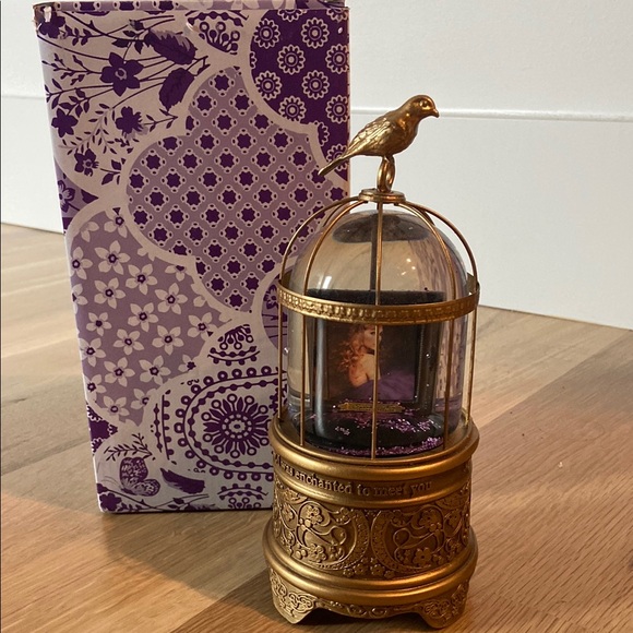 Taylor Swift Other - NIB - Taylor Swift Speak Now Snow globe